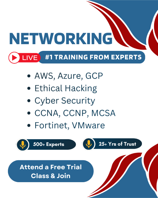 Networking Courses in UAEsalmiya